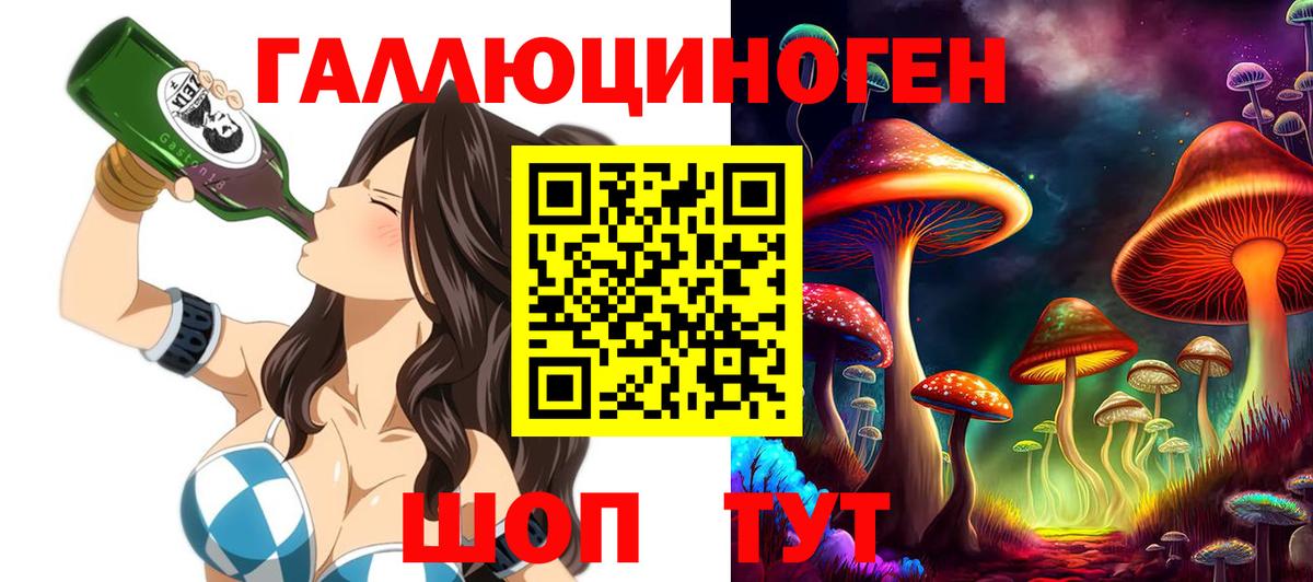 Псилоцибиновые грибы Cubensis Качканар