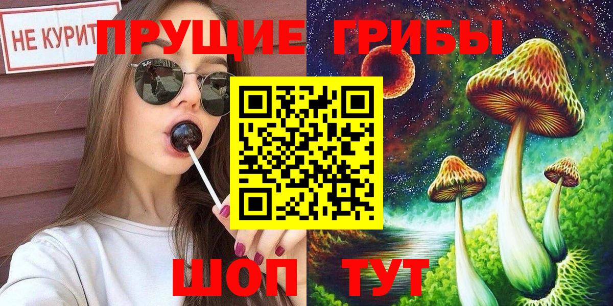 Качканар  Галлюциногенные грибы мицелий  Вход с VPN 